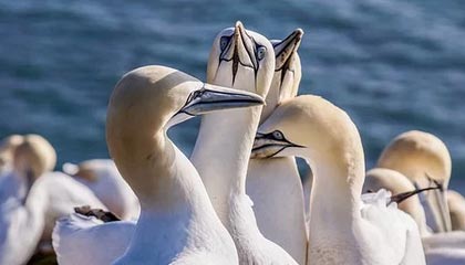 九游娱乐-电竞赛事奖金大揭秘：金钱背后的竞争与压力，电竞比赛总奖金