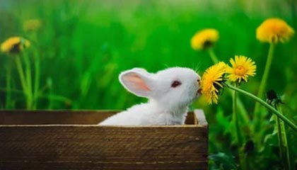 九游游戏-横滨水手连续多场比赛不败，横滨水手今天比赛